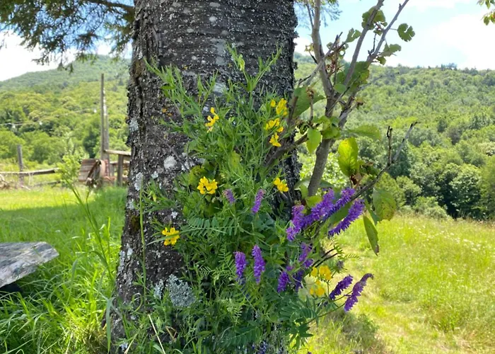 Casanita *